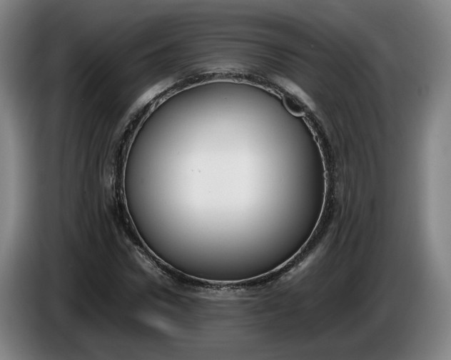 X0000085780922200703301422