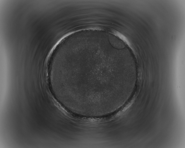 X0000085780923200703301422