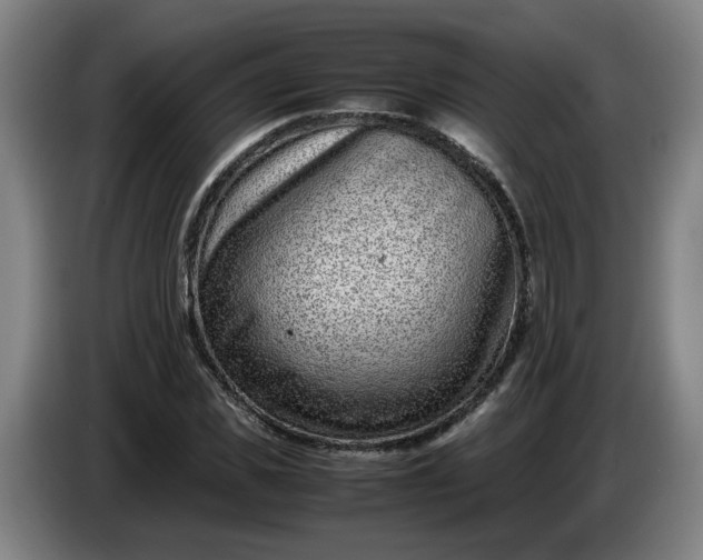 X0000085780925200703301422