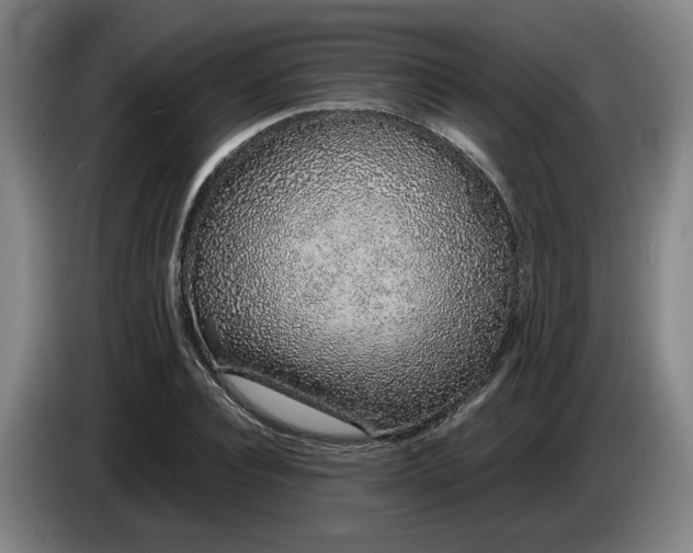 X0000085780928200703301422