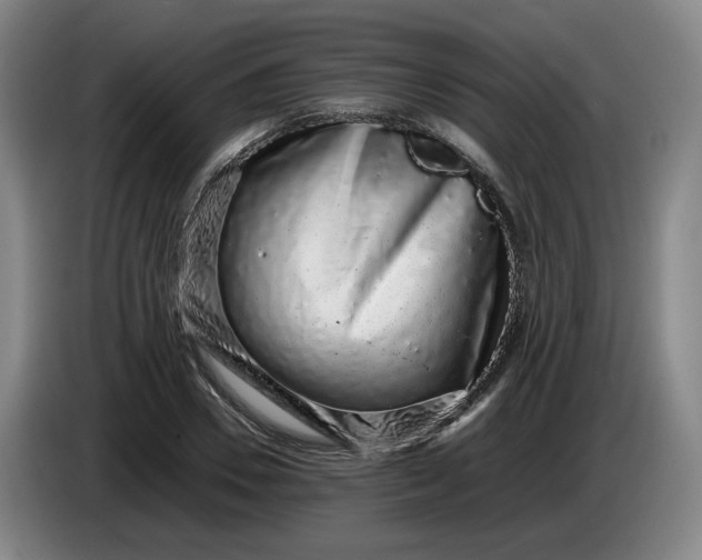 X0000085780930200703301422