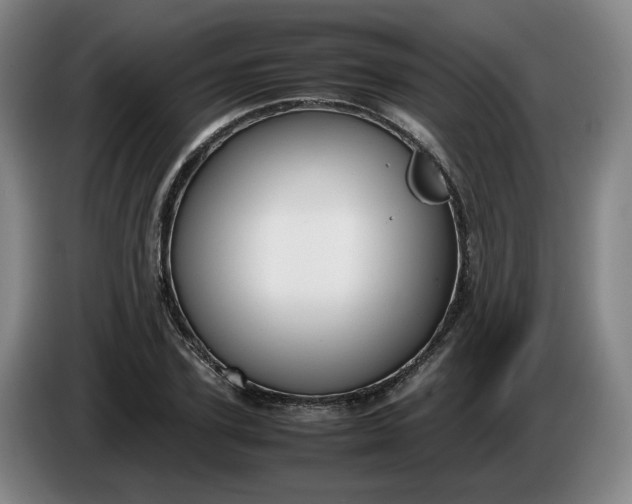 X0000085780931200703301422