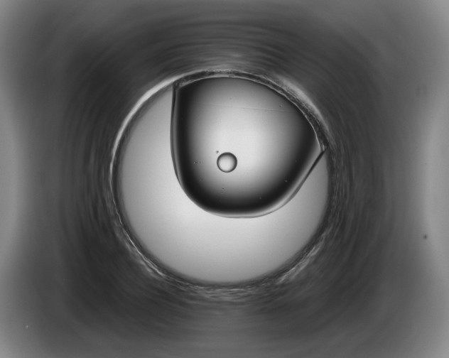 X0000085780932200703301422