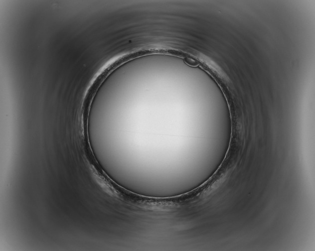 X0000085780934200703301422