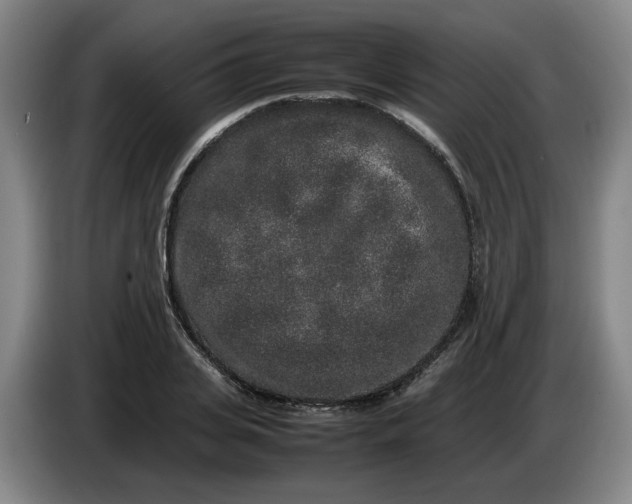 X0000085780935200703301422