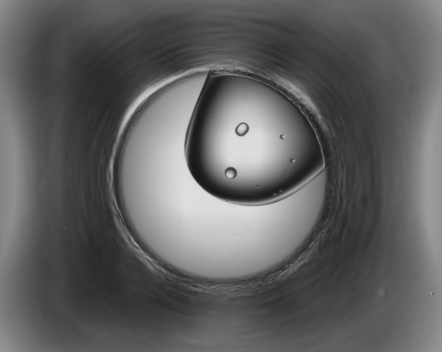 X0000085780936200703301422