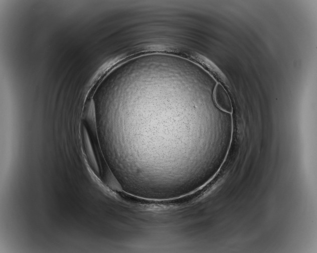 X0000085780938200703301422