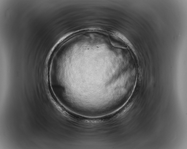 X0000085780939200703301422