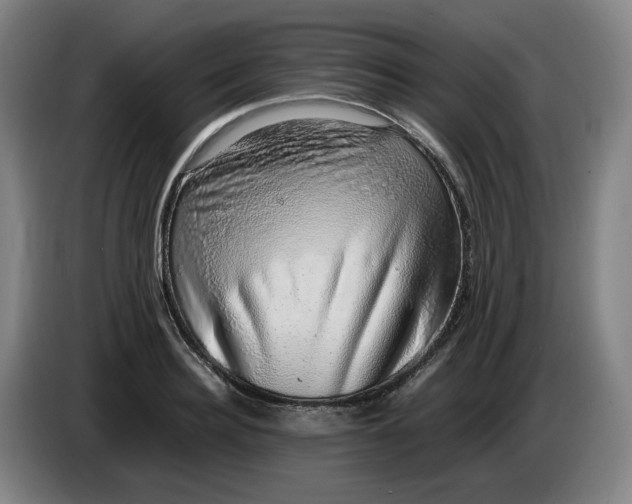 X0000085780940200703301422