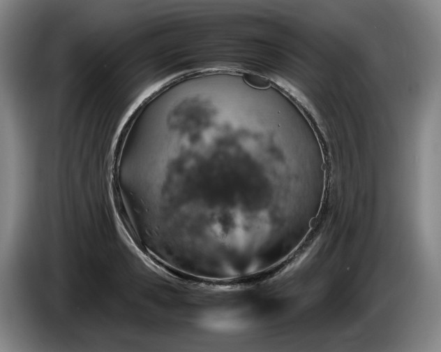 X0000085780941200703301422