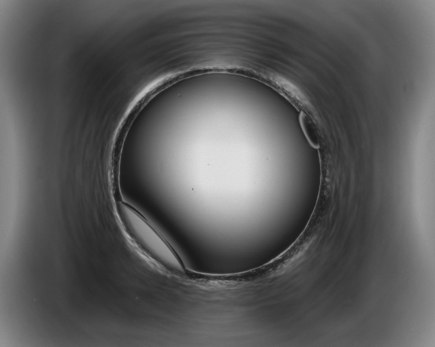 X0000085780942200703301422