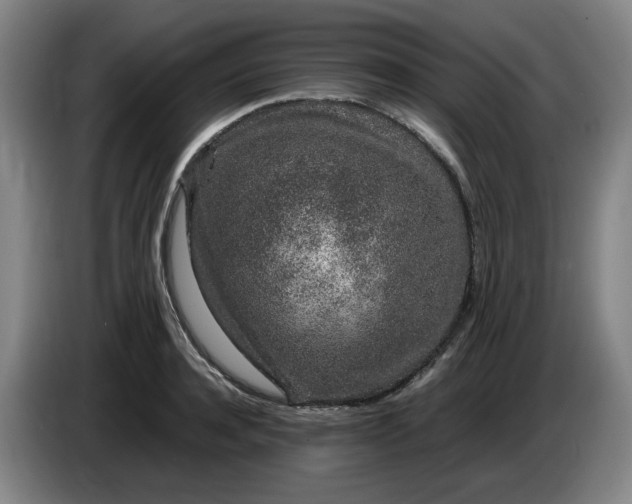 X0000085780944200703301422