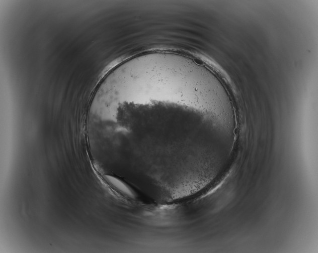 X0000085780945200703301422