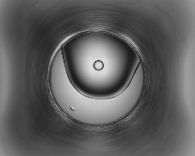 X0000085780948200703301422