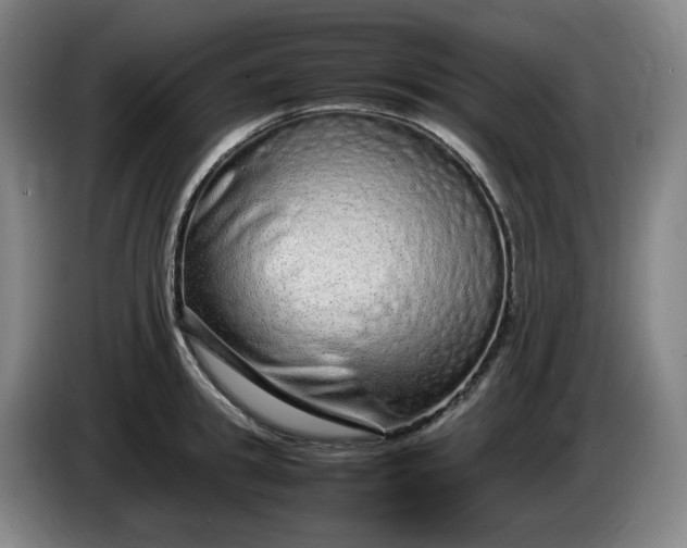 X0000085780949200703301422