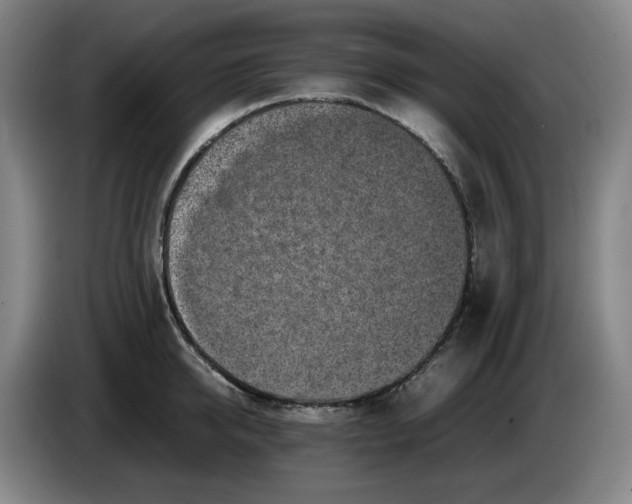 X0000085780950200703301422