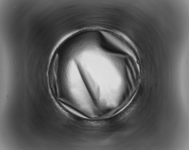 X0000085780951200703301422