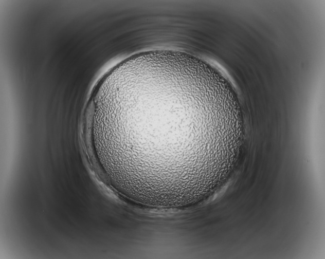 X0000085780952200703301422