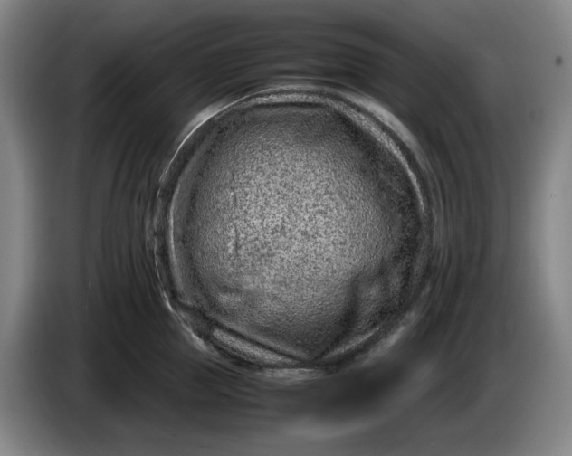 X0000085780953200703301422