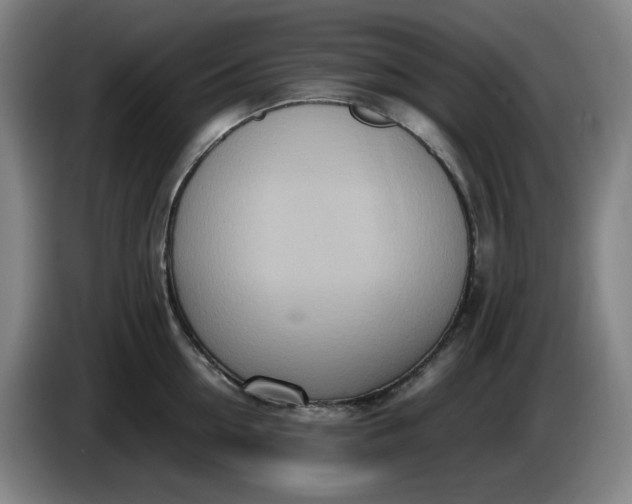 X0000085780954200703301422