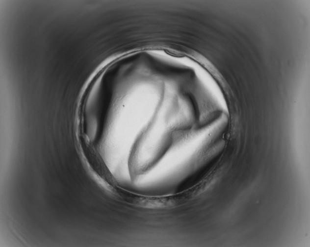 X0000085780955200703301422