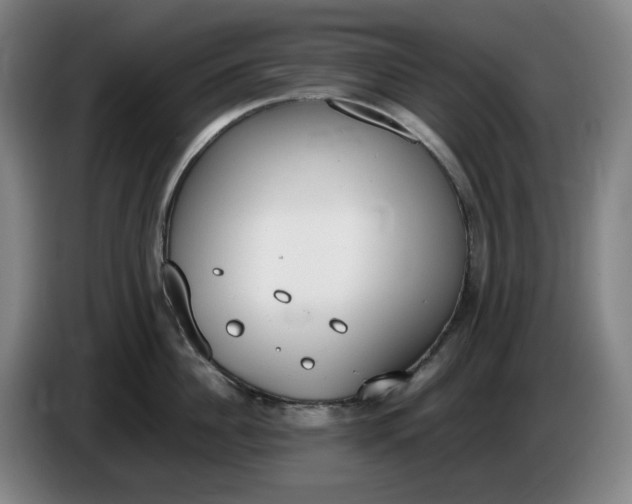 X0000085780956200703301422