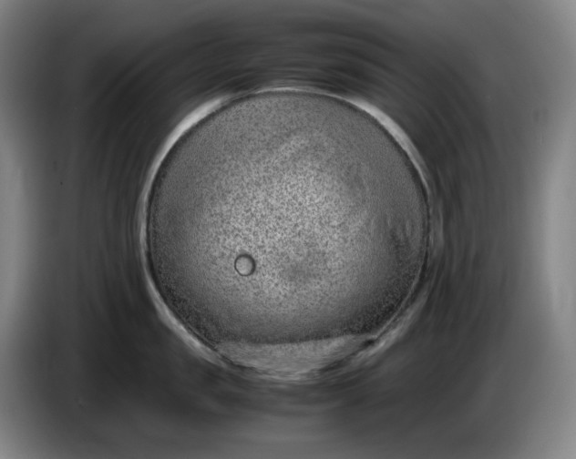 X0000085780957200703301422