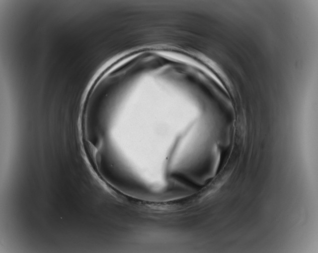 X0000085780959200703301422