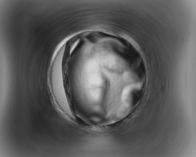 X0000085780960200703301422