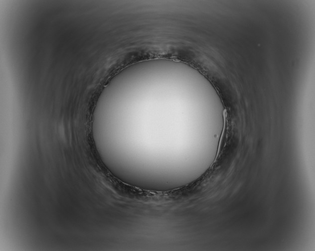 X0000085780961200703301422