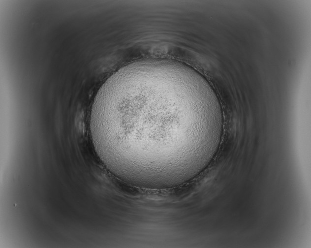 X0000085780962200703301422