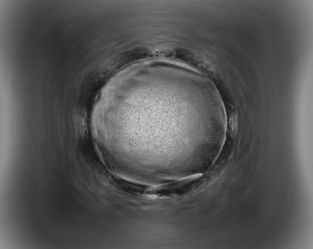 X0000085780963200703301422