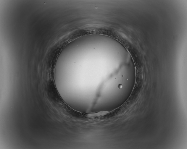 X0000085780965200703301422