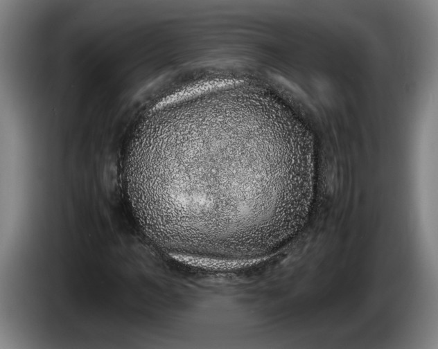 X0000085780966200703301422