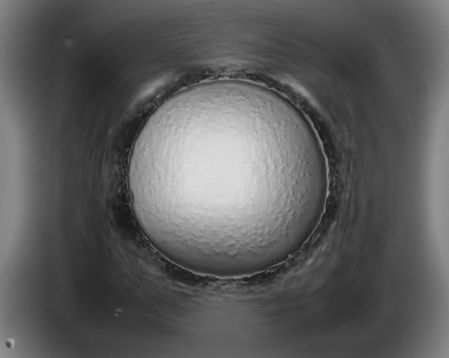 X0000085780967200703301422