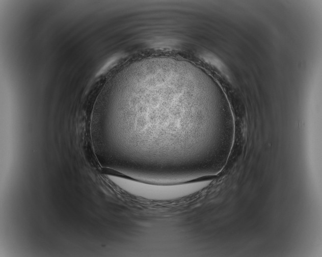 X0000085780968200703301422