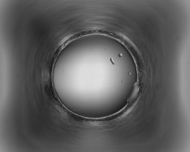 X0000085780969200703301422