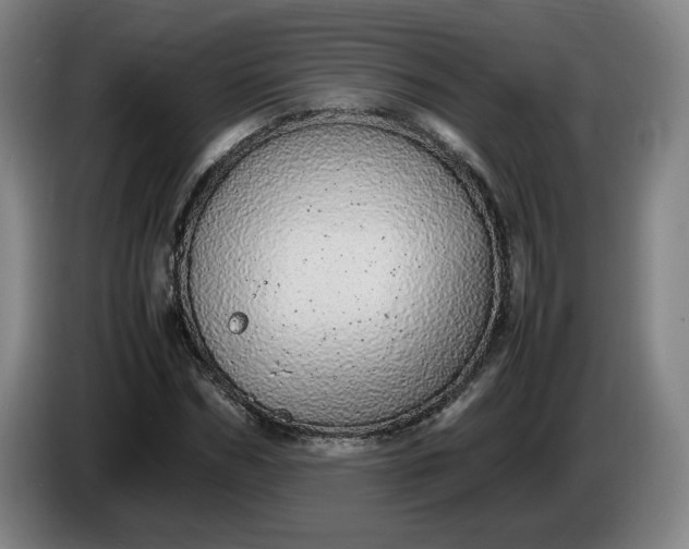 X0000085780970200703301421