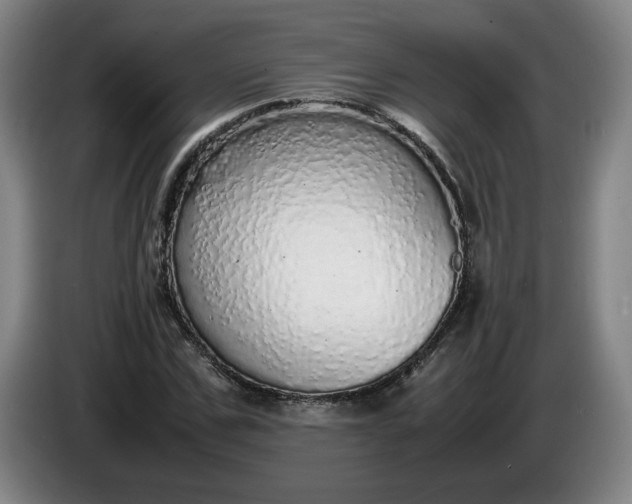 X0000085780971200703301421