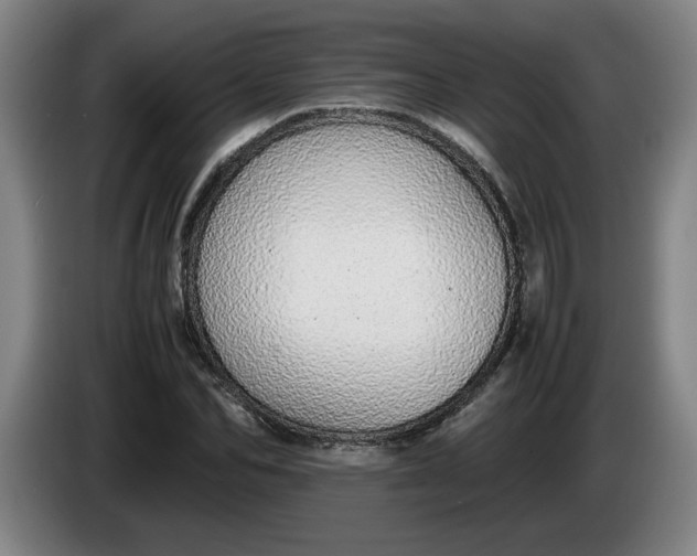 X0000085780974200703301421