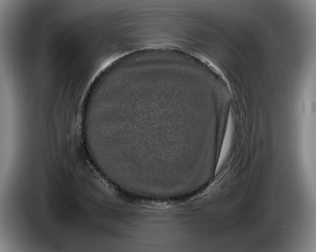 X0000085780975200703301421