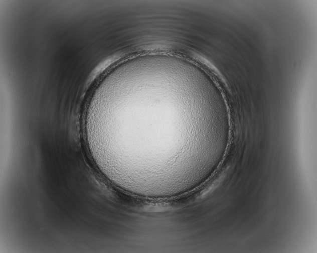 X0000085780978200703301421