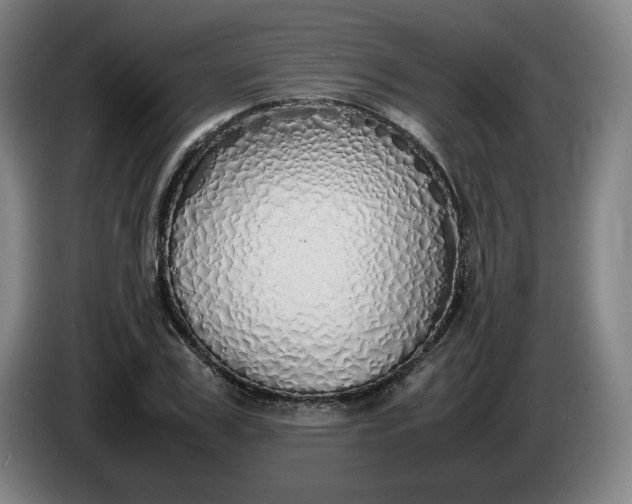 X0000085780979200703301421