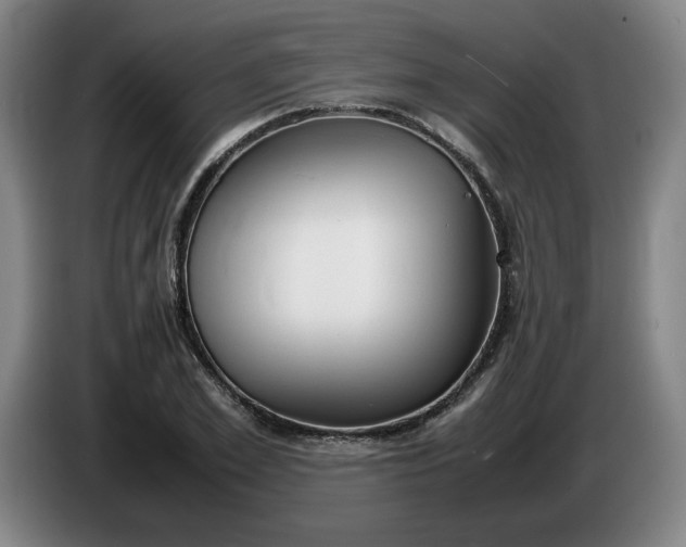 X0000085780981200703301421