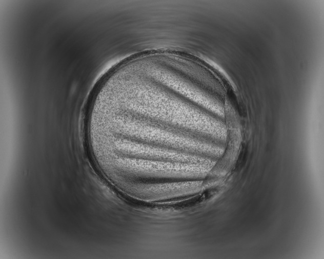 X0000085780983200703301421