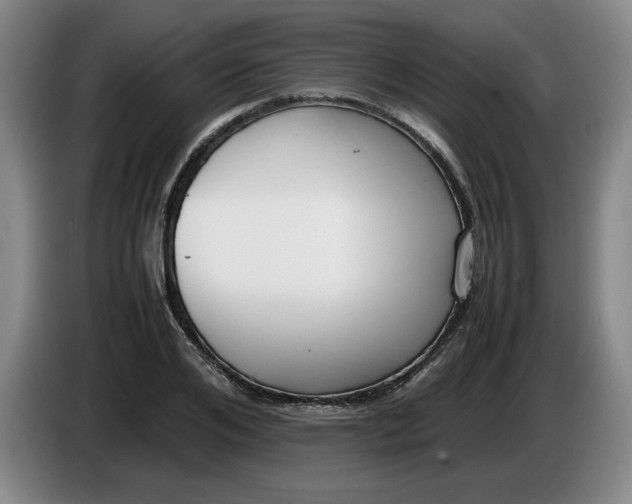 X0000085780984200703301421