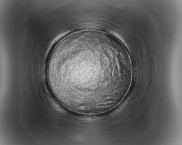 X0000085780987200703301421