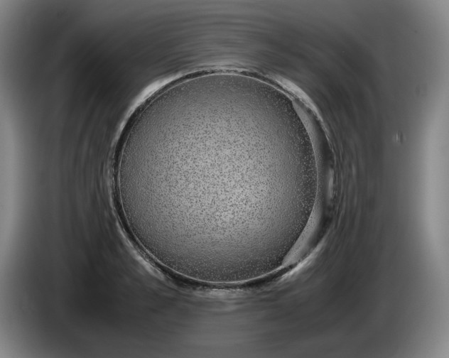 X0000085780989200703301421