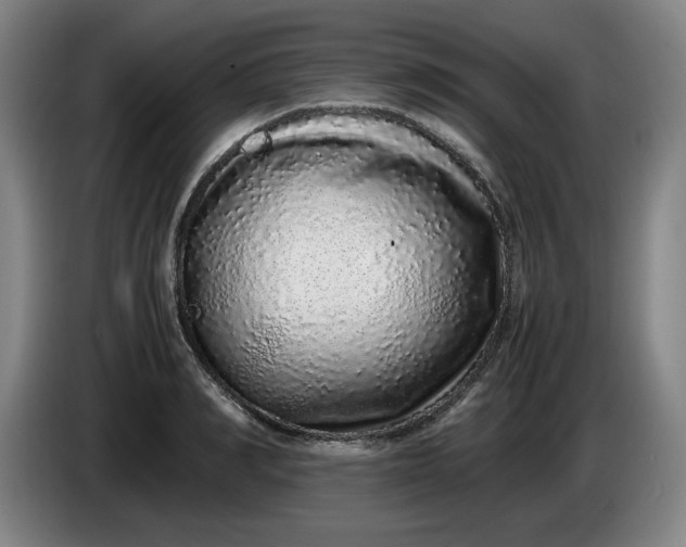 X0000085780990200703301421