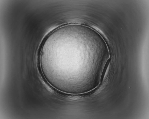 X0000085780991200703301421